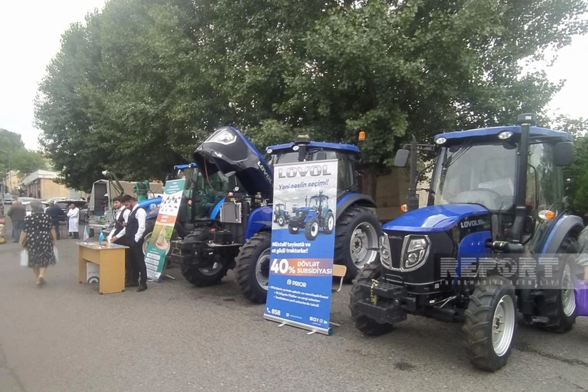 Daşkəsəndə Aqrar Biznes Festivalı keçirilib