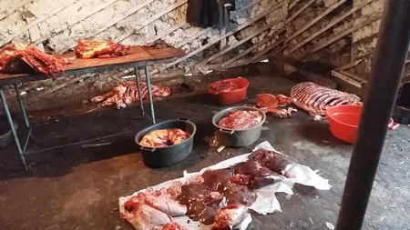 DBNX: Cəlilabadda at kəsimi ilə məşğul olan şəxs qanunsuz əməlini yenidən davam etdirib