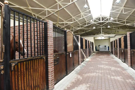 President Ilham Aliyev attends opening of Qarabag Equestrian Complex