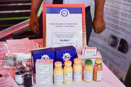 Samuxda Aqrar Biznes Festivalı keçirilib