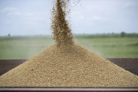 Armenia may start importing wheat from Russia and Kazakhstan by rail