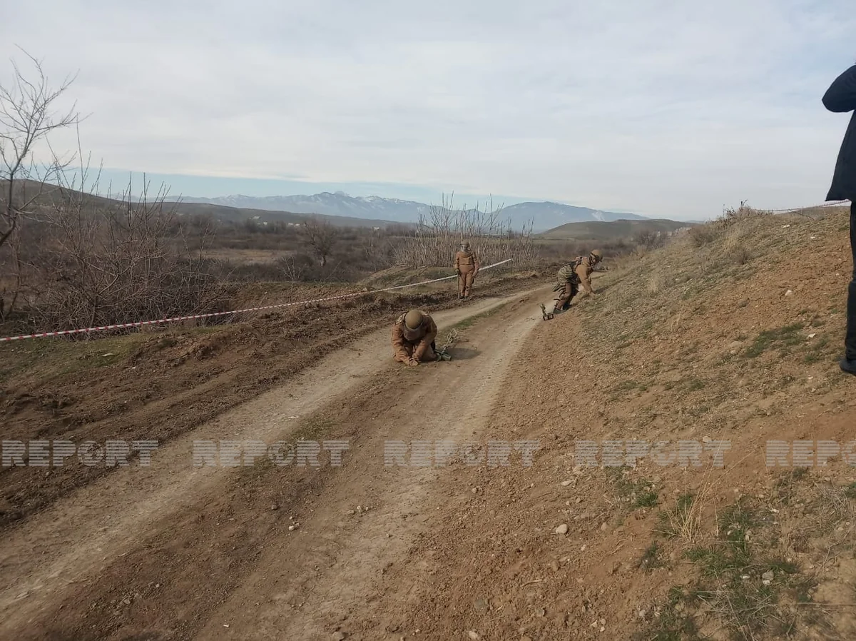 2292 hectares of land in liberated areas cleared of mines