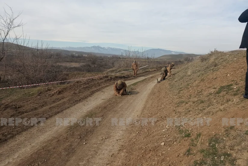 2292 hectares of land in liberated areas cleared of mines