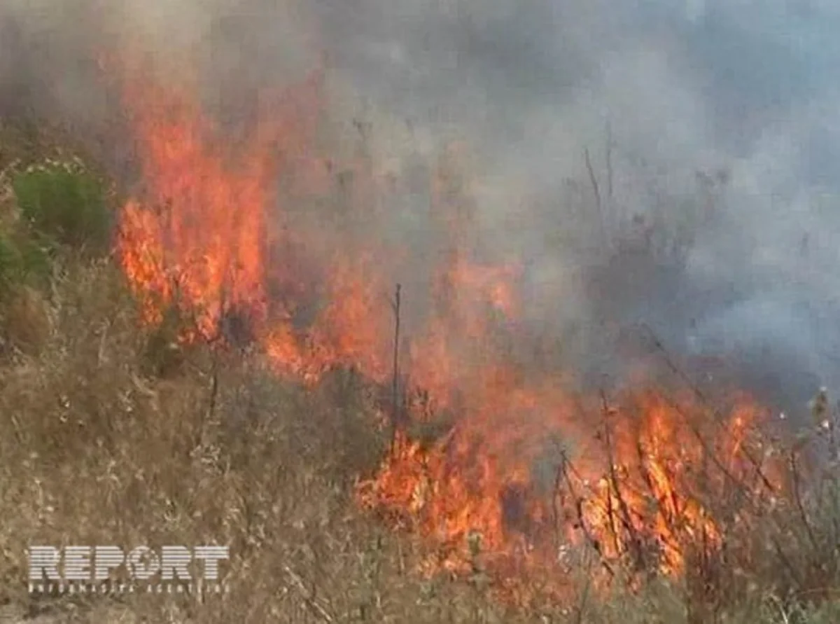 Oğuz rayonunda baş vermiş yanğın söndürülüb