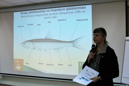 BMT: Azərbaycanda balıq məhsullarının istehsalı kəskin azalıb