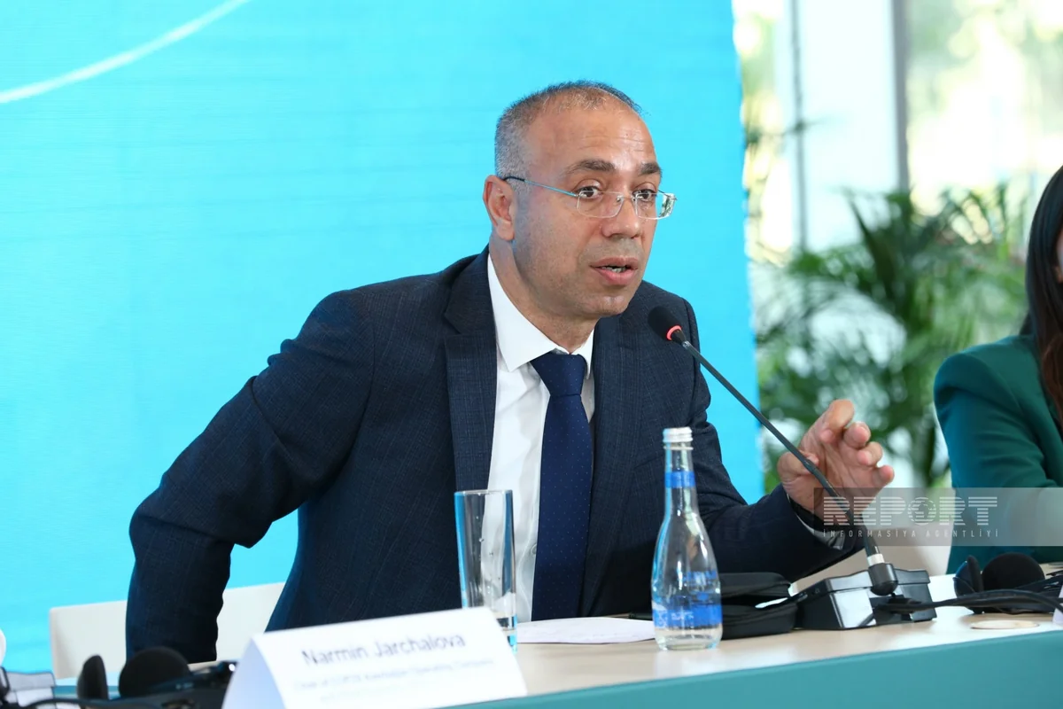 COP29 CEO: Hydrocarbons should be limited in manufacturing plastic products