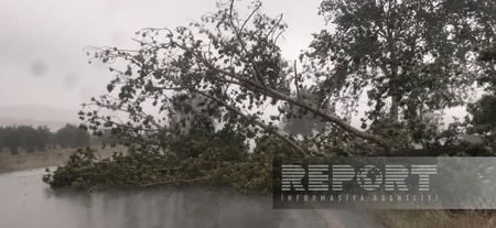 Bakı-Şamaxı-Yevlax avtomobil yolu birtərəfli bağlanıb - YENİLƏNİB
