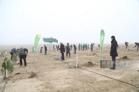 Heydər Əliyevin 100 illik yubileyi ilə əlaqədar növbəti ağacəkmə aksiyası keçirilib