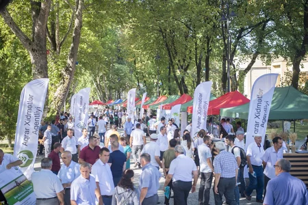 İsmayıllıda toxum sərgi-satış yarmarkası keçirilib