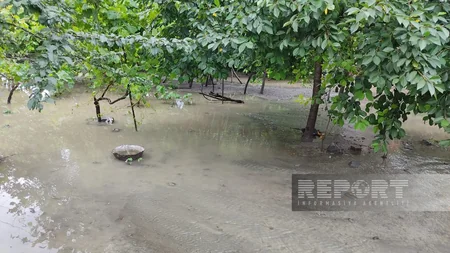Qaxda leysan olub, çay daşıb, restoran və evlərin həyətlərini su basıb