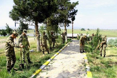 Azərbaycan Ordusunda ümumordu iməciliyi keçirilib