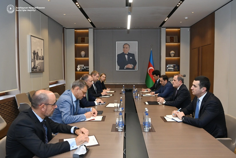 Azerbaijani FM informs EU special representative about current situation of peace agreement