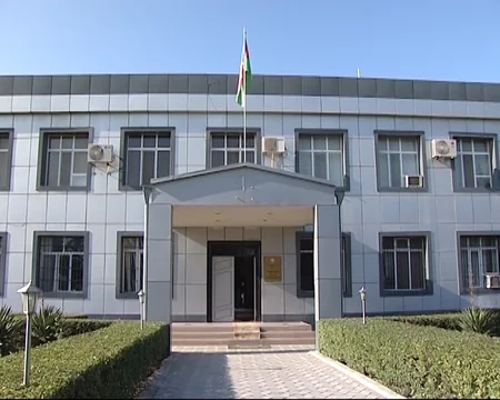 Sabirabadda 94 kiloqram çətənə kolları aşkar olunub