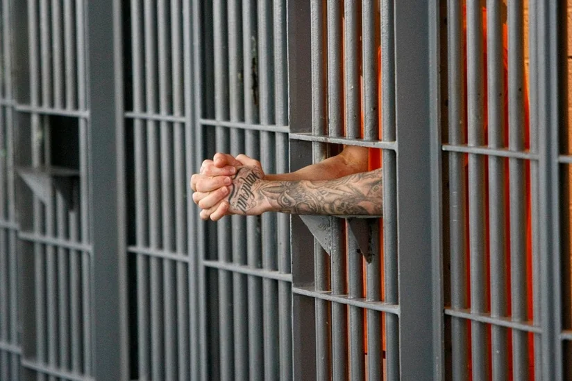 Гражданин Армении получил в России срок за вербовку для ИГ