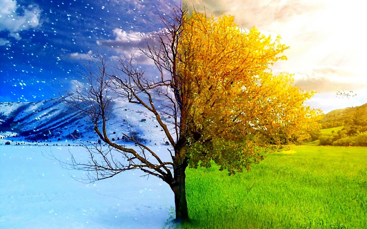 Sabah havanın temperaturu artacaq