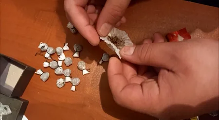 Gəncədə narkotik satan və alan şəxslər saxlanıldı