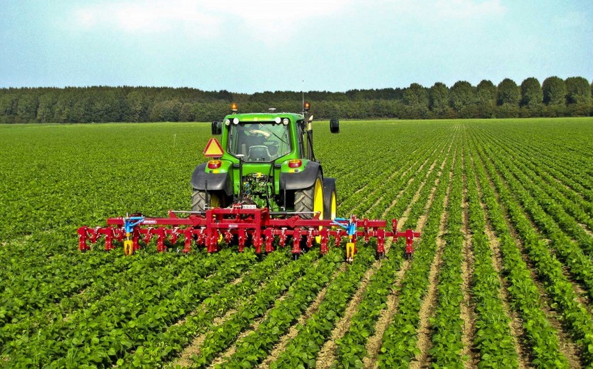 Azerbaijan's agrarian sector grows by over 3%
