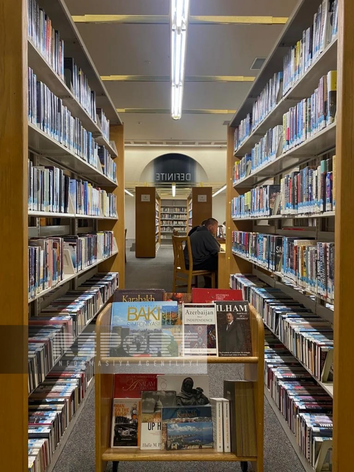 Books about Azerbaijan included in Florida Public Libraries