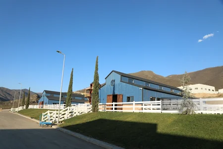 130 kq çəki, günə 6 litrə qədər süd - Laçındakı müasir keçi fermasından - REPORTAJ