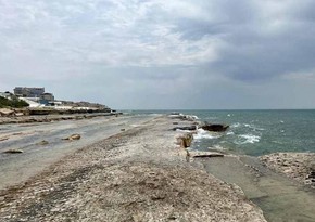 Правительство Казахстана выделило средства на изучение проблем Каспийского моря