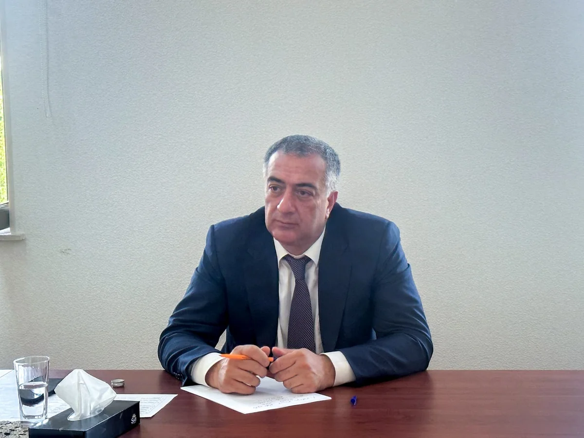 Nazir müavini: İqlim dəyişikliyi ilə mübarizədə ölkələrarası güclü tərəfdaşlıq olmalıdır