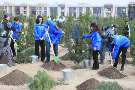 Zəfər Günü ilə bağlı Bakıda ağacəkmə aksiyası keçirilib