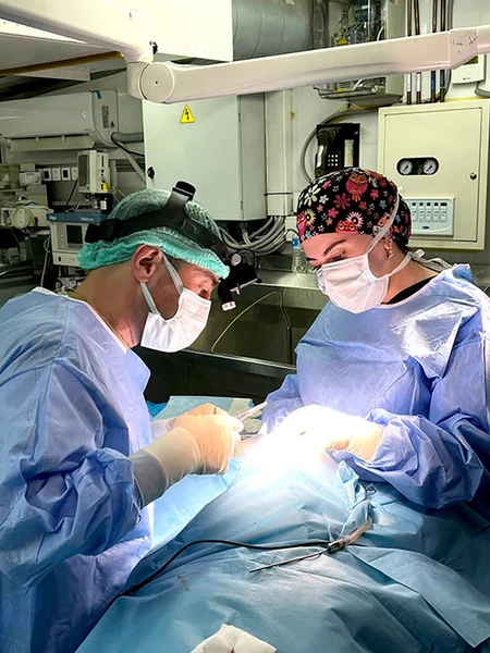 Azərbaycanın hərbi həkimləri Türkiyədə 71 cərrahi əməliyyat icra edib, 468 nəfərə ambulator yardım göstərib