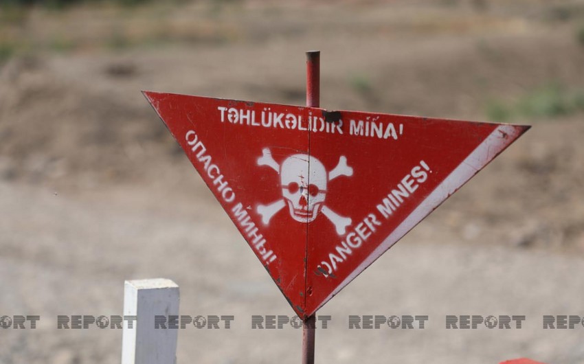 ANAMA-nın əməkdaşı minaya düşüb