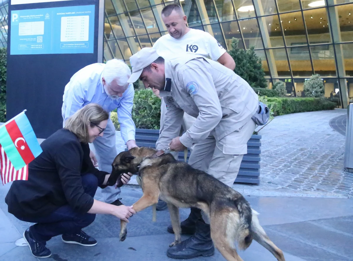 Two more demining dogs brought from US to Azerbaijan