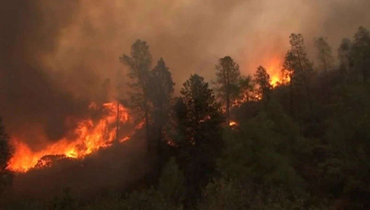 Ağsuda meşə ərazisindəki yanğın söndürülüb - YENİLƏNİB