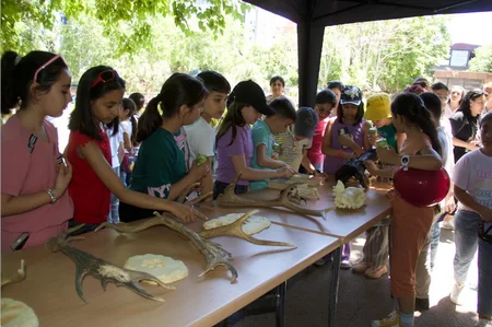Bakı Zooloji Parkında 1 iyun - Uşaqların Beynəlxalq Müdafiəsi Günü ilə bağlı ilk tədbir keçirilib
