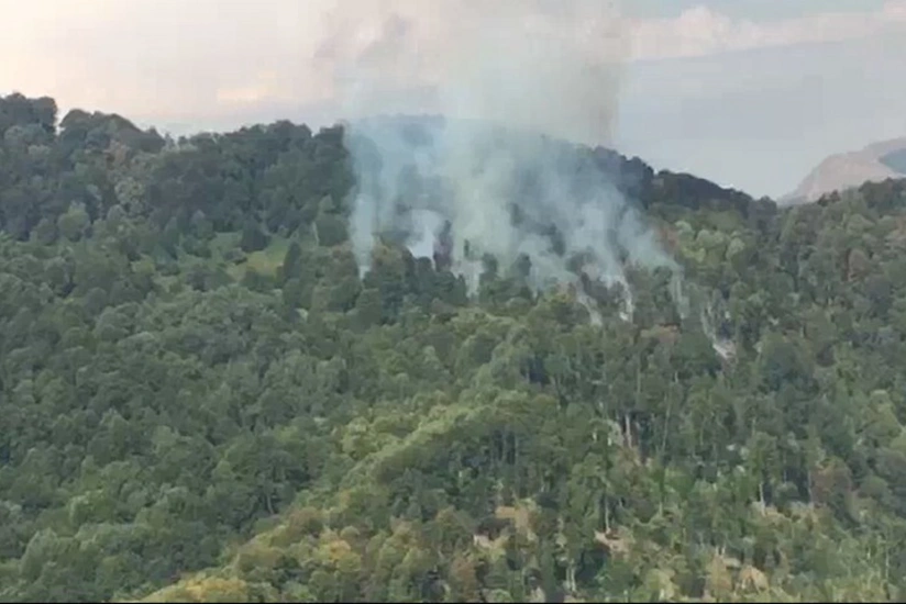 Ağsuda dağlıq meşə ərazisində baş vermiş yanğın söndürülüb