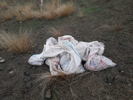 Qazaxda 8356 patron tapılıb