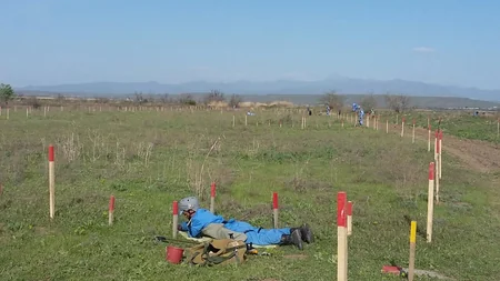 Cocuq Mərcanlıda gün ərzində 2793 ədəd qəlpə aşkar edilib