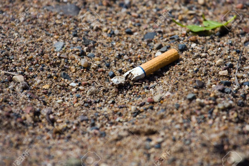 Милли Меджлис принял проект изменений, предусматривающий штраф за разбрасывание окурков