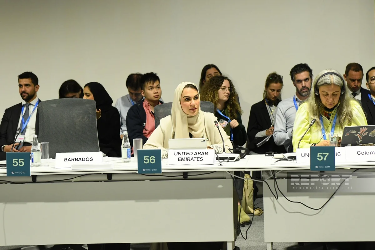 UAE minister calls for effective climate early warning systems