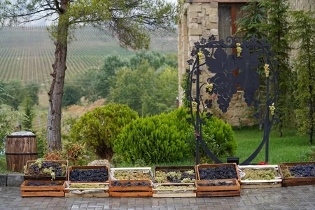 Leyla Əliyeva Üzüm və Şərab Festivalında təşkil edilən pavilyonlarla tanış olub - FOTO