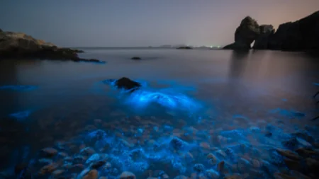 Çində dəniz mavi neon rənginə boyanıb - FOTO