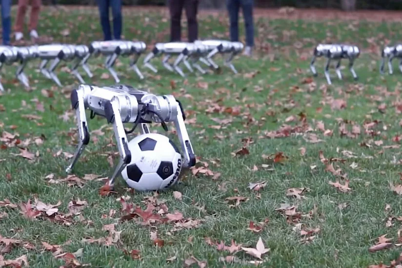ABŞ alimləri dördayaqlı qapıçı robotu hazırlayıblar