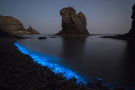 Çində dəniz mavi neon rənginə boyanıb - FOTO