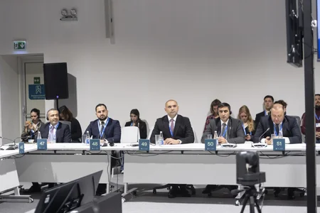 Baku hosts panel discussions on 'From Global Goals to Local Action' as part of COP29