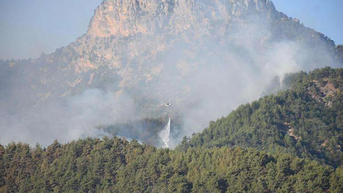 Another forest fire breaks out in Turkey 