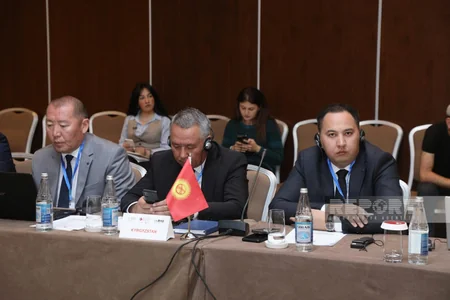 Bakıda xırdabuynuzlu heyvanların taunu və dabaq xəstəliklərinə həsr olunan beynəlxalq tədbir keçirilir
