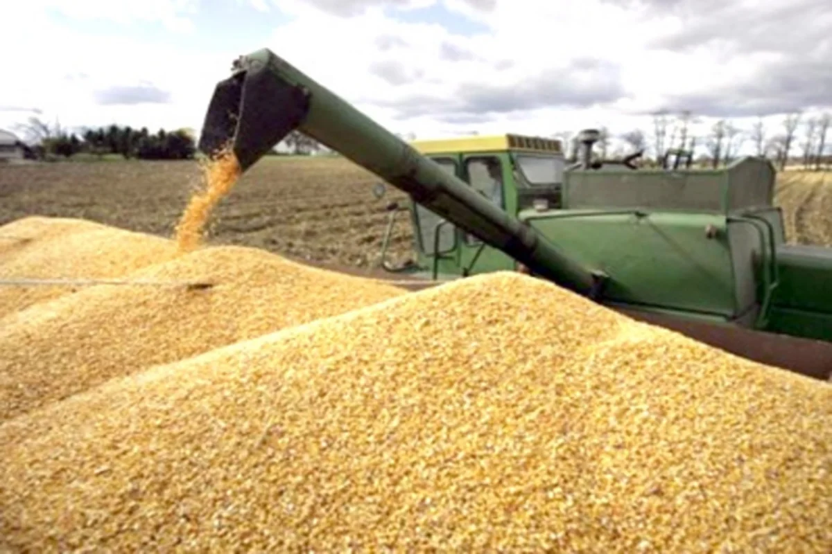 2017-ci ildə ölkəyə buğda idxalı 20 faiz azalıb