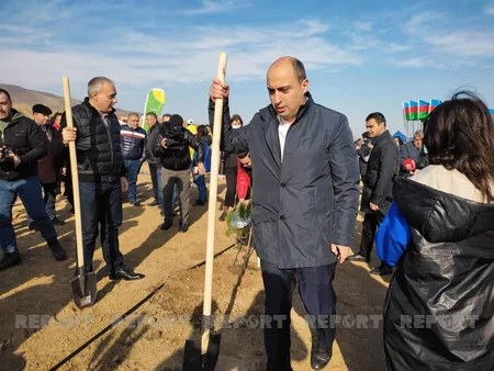 Xocasəndə 2000-dən çox müxtəlif cinsli ağac əkilib