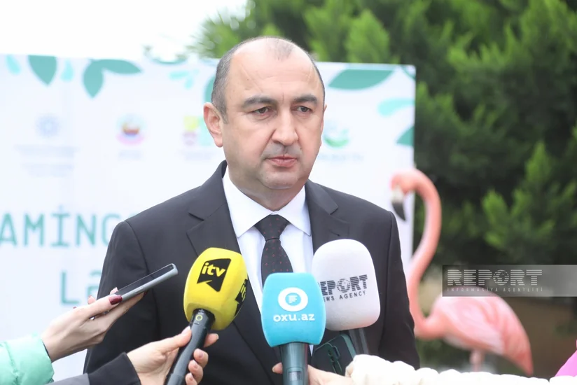 Nazir müavini: “Azərbaycan ərazilərinin 10 faizdən çoxu xüsusi mühafizə olunur”