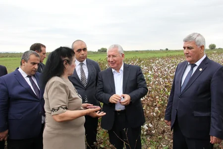 Azərbaycana yeni pambıqyığan kombaynlar gətiriləcək