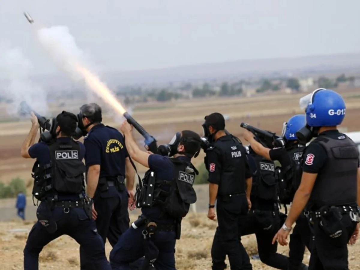 Turkey's domestic security law enters into force