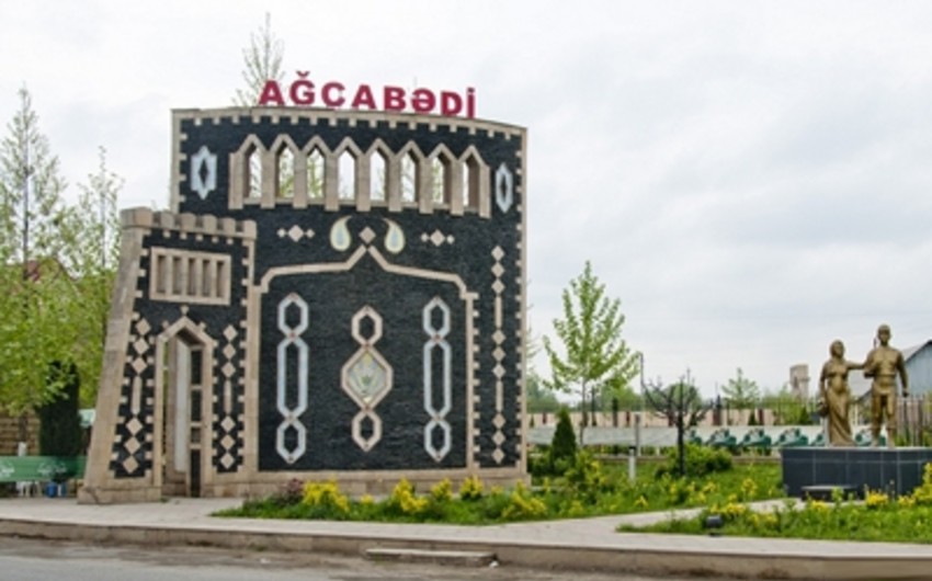 Rayonlardan birinin Baytarlıq İdarəsinin rəisi işdən çıxarılıb