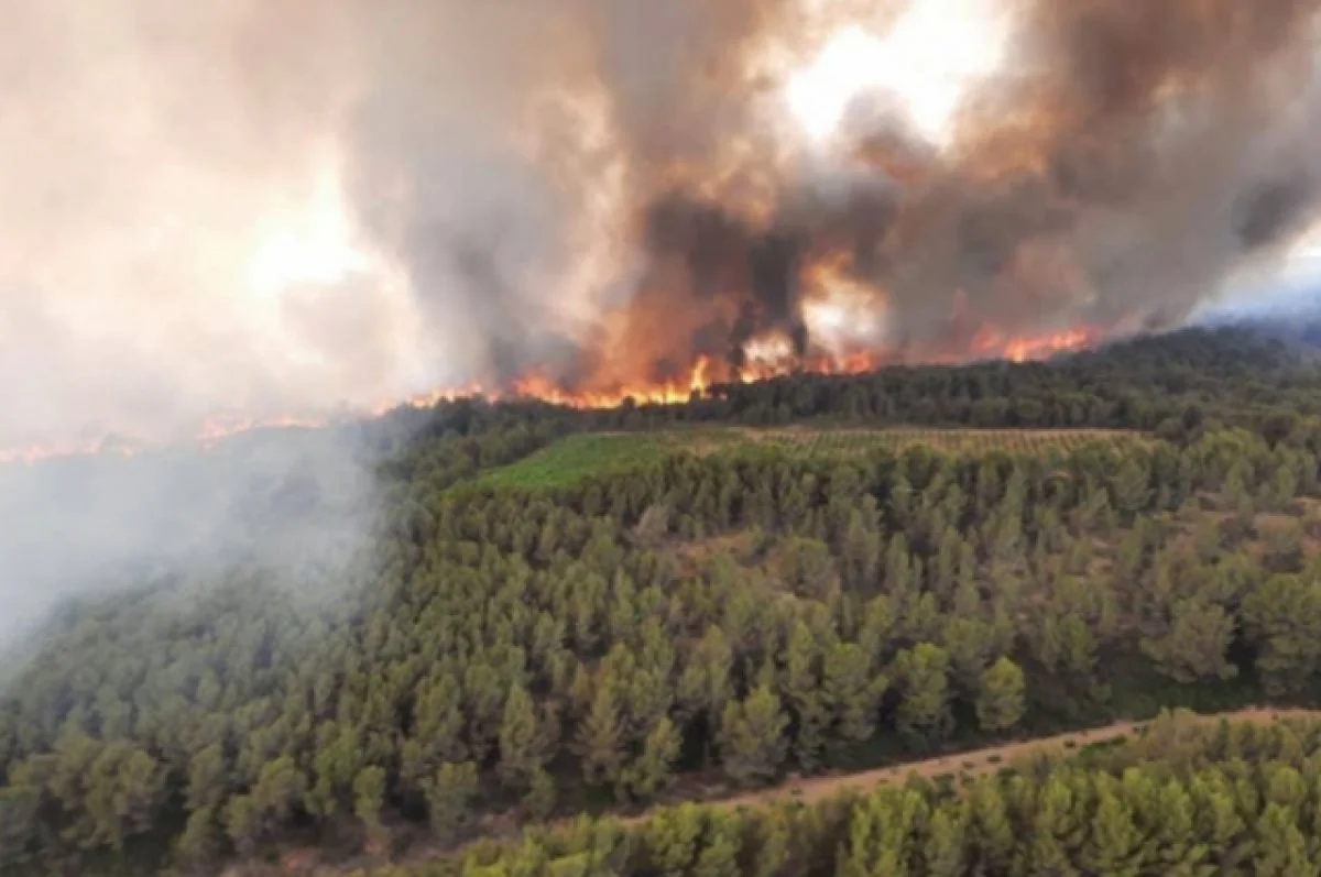 Fransada meşə yanğınları nəticəsində 2 nəfər ölüb